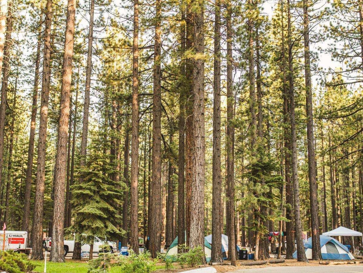 סאות' לייק טאהו Tahoe Valley Cottage 2 מראה חיצוני תמונה
